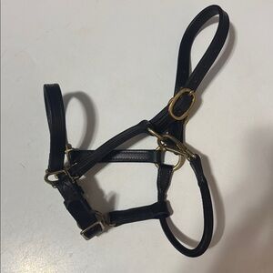 Leather pony halter
